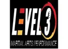 Level 3 Martial Arts Performance