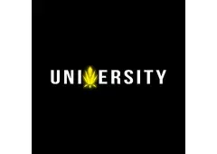 THC A Gummies with Real Flavor and Simple Ingredients