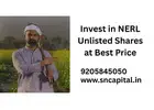 Invest in NeRL Unlisted Shares with SN Capital