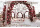 Best Wedding Planners Near Me | Affordable Planning Packages