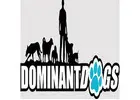 Dominant Dogs