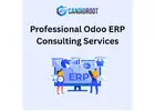 Professional Odoo ERP Consulting Services