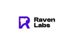 Managed IT Support - Raven Labs
