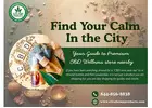 Find Your Calm in the City: Guide to the premium CBD store nearby.