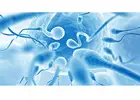 Same-Day Semen Analysis in Delhi – Cost & Booking Guide