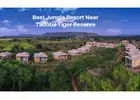 Best Jungle Resorts Near Tadoba Tiger Reserve