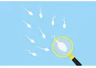 Best Male Fertility Specialist in Delhi – Reviews & How to Book