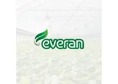 Everan Kids Garden – Fun, Easy & Educational Gardening for Kids