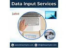 Best Data Input Services in India