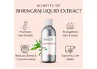 Bhringraj Liquid Extract – Natural Hair & Skin Vitality Booster | Raasa Oils