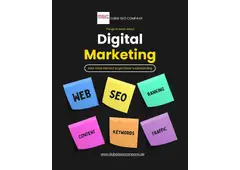 Best Insurance SEO Company for More Leads