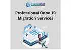 Professional Odoo 19 Migration Services