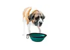 Everyday Hydration Made Easy with a Large Water Bowl for Dogs from HugeHounds