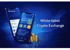 White Label Crypto Exchange