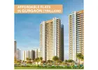 Affordable Flats In Gurgaon | Trillion