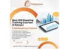 Best GIS Mapping Training Courses in Kenya | E-Enhancement Centre