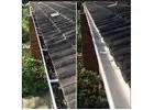 Gutter Cleaning Services in Tauranga