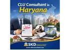 Trusted CLU Consultant in Haryana for Business Growth