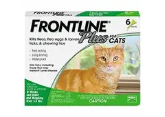 Quality Pet Care Doesn't Have to be Expensive!