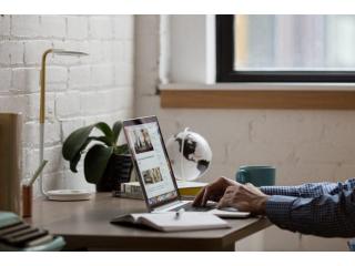 ONE Link To Rule Them ALL!