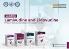 Lamivudine and Zidovudine Products Manufacturer in India