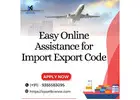 Easy Online Assistance for Import Export Code