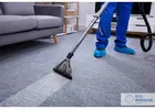 Top Carpet Cleaning Services in Brisbane Northside