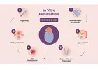 IVF Treatment In Delhi - Dr Rhythm Gupta