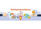 Startup Business Consultant