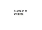 Same Day Flower Delivery Sunshine -  Blossom of Wyndham