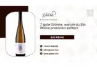 7 gute Gründe, warum du Bio Weine probieren solltest