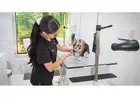 Dog Grooming Spa Packages
