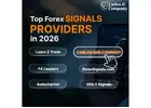 Forex Signal Providers | Expert Trading Signals