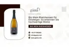 Bio Wein Rheinhessen für Einsteiger: So erkennen Sie hochwertige Weine
