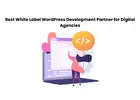 Best White Label WordPress Development Partner for Digital Agencies