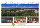 Book Luxury Resort in Tadoba National Park