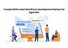 Trusted White Label WordPress Development Partner for Agencies