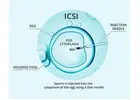 ICSI Treatment in Delhi - Dr Rhythm Gupta