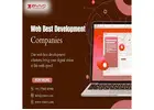 Web Design Company In Zinavo Web Development Company New York City