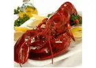Shop Cooked Lobsters