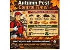 Effective Termite Control Service in Brisbane