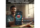 Cricket Fans: Start Winning with Parimatch Prediction Apps