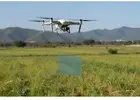Drone agriculture mapping