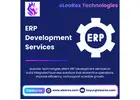 Best ERP Development Services | eLeoRex Technologies