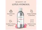 Lotus Hydrosol for Cosmetic & Beauty Products | Raasa Oils