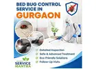 Bed Bug Control Service in Gurgaon | Complete Pest Removal Solutions by Service Mantra