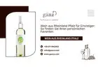 Wein aus Rheinland Pfalz für Einsteiger: So finden Sie Ihren persönlichen Favoriten