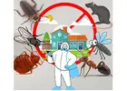 Expert Arundel Pest Control Service