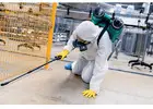 Expert Springfield Pest Control Service