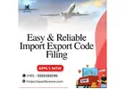 Easy & Reliable Import Export Code Filing